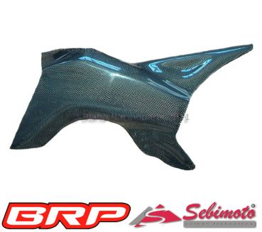 Aprilia RSV 1000 R Factory 2004 - 2008 Sebimoto Schwingenprotektor links  Swingarm protection left side