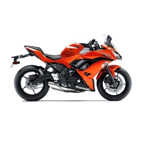 Kawasaki Z 650 und Ninja 650 ab 2017 GBracing Motordeckelschützer GB Racing Enginecover protection set