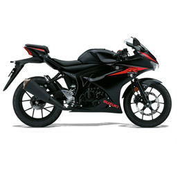 Suzuki GSX-R 125 und GSX-S 125 ab 2017 GBracing Motordeckelschützer