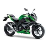 Kawasaki Z300 und EX300 2014 bis 2016