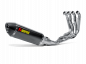 Preview: Akrapovic Racing Line Carbon komplett Anlage BMW S1000R 2014 bis 2016