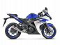 Preview: Akrapovic Racing Line SS komplett Auspuffanlage Yamaha R3 2015 bis 2018 und YZF R25 2014 bis 2021