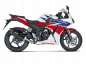 Preview: Akrapovic Slip-On Line Carbon Honda CBR 300 R 2014 bis 2016