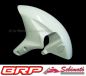 Preview: Honda CBR 1000 RR 2004 - 2005 SC57 Sebimoto Kotflügel vorne Vorderradabddeckung Frontfender