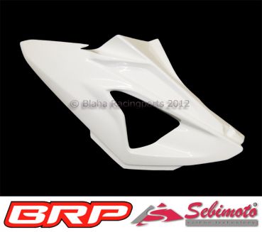 BMW S 1000RR / 2012-2014 Sebimoto Seitenteil links / Side part, left