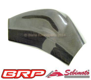 BMW S 1000RR / 2009-2014 Sebimoto Schwingenschutz rechts