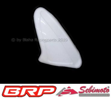 Aprilia RSW 125 2006-2007 Production Racer Sebimoto Hinterradabdeckung, Kotflügel hinten  rear fender
