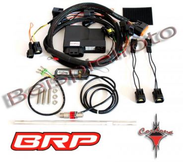 CORDONA PQ8 241ND Combo Quickshifter, Stand-Alone-Schaltautomat für Voge DS800X Rally, 2025-