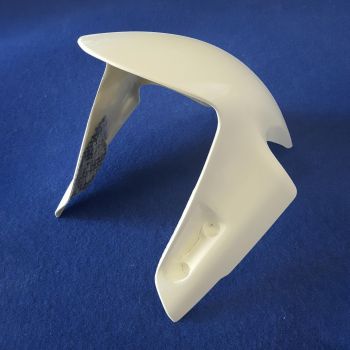 Ducati Panigale V4 2018 Sebimoto Kotflügel vorne Front fender