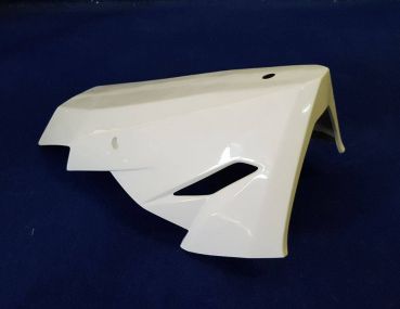 Kawasaki 300 Ninja 2015 Sebimoto Unterteil Lower part
