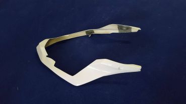 Kawasaki 300 Ninja 2015 Sebimoto Höckerschutzblech Höckerplatte unten undertail