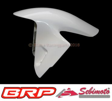 Ducati Panigale V4 2018 Sebimoto Kotflügel vorne Front fender