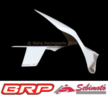 Ducati Panigale V4 2018 Sebimoto Kotflügel hinten Hinterradabdeckung rear fender
