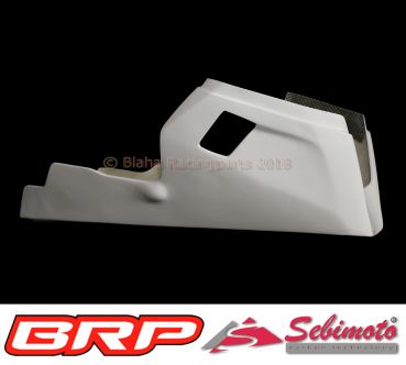 Kawasaki Ninja 300 2015 Sebimoto Rennverkleidung 4 tlg. Höcker geschlossene Sitzfläche fairing 4 parts tailsection close for foam rubber