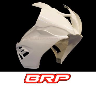 BMW S 1000 RR ab 2019 Oberteil Racing ohne Scheinwerferausschnitt Upper part