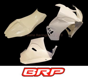 BMW S 1000 RR ab 2019 Sebimoto Rennverkleidung und Höcker geschlossene Sitzfläche Fairing 2 parts tailsection closed