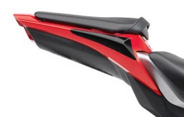 R&G Racing Carbon Heck Protektor Honda CBR 1000 RR 2008-2011