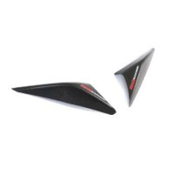R&G Carbon Heck Protektor Ducati Panigale V4 2018-2021 / Panigale V2 / Streetfighter V4 / V2
