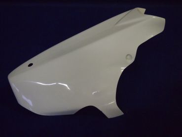 Kawasaki ZX 9R 1998 - 2003 Sebimoto Unterteil geschlossen Lower part close