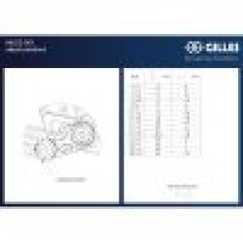 GILLES MUE2 Fußrastenanlage für Ducati Panigale V4 /V4 R / S / SP2, 2018-