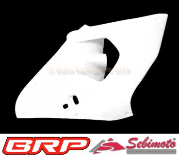 Aprilia RSV 1000 Mille 1998 - 2000 Sebimoto Rennverkleidung 4 tlg. fairing 4 parts