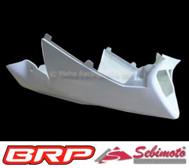 Aprilia RSV 1000 Mille 2001 - 2003 Sebimoto Rennverkleidung 4 tlg.  fairing 4 parts