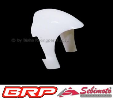 Aprilia RSW 125 2008-2009 Production Racer Sebimoto Kotflügel vorne front fender