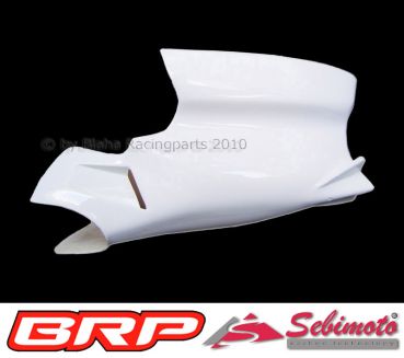 Aprilia RSA 125 2009 Production Racer Sebimoto Unterteil geschlossen lower part