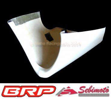 Aprilia RSV4 ART Moto GP Replica 2009-2016 Sebimoto Unterteil  Lower part