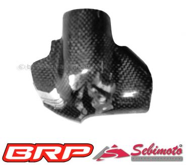 Ducati 749-999 bis 2004 Sebimoto Wasserpumpendeckel, -abdeckung Waterpump protection