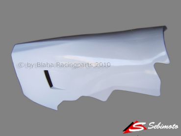 FTR M210 - Moto2 Sebimoto Unterteil geschlossen Lower part