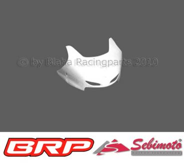 Honda CBR 1100 XX 1997-2007 SC35 Sebimoto Rennverkleidung 3 teilig. + 1 teilig. Höcker geschlossen für Moosgummi Fairing 3 parts + 1 part tailsection closed for foam rubber