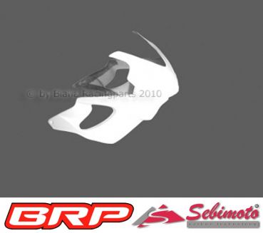 Honda CBR 600 FS PC35 2001 bis 2002 Sebimoto Rennverkleidung 2 teilig. Fairing 2 parts, lower part racing