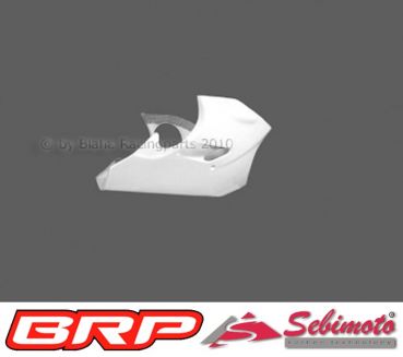 Honda CBR 600 FS PC35 2001 bis 2002 Sebimoto Unterteil Racing Lower part racing