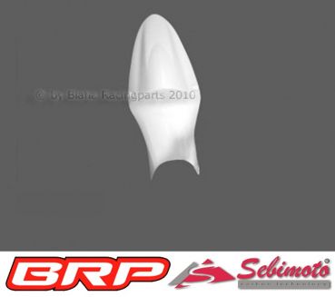 Honda CBR 600 FS PC35 2001 bis 2002 Sebimoto Höcker geschlossen für Moosgummi  Tailsection closed for foam rubber