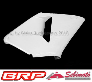 Honda CBR 600RR 2003-2004 Racing WM HRC Ten Kate PC37 Sebimoto Rennverkleidung 4 teilig. Fairing 4 parts, lower part racing