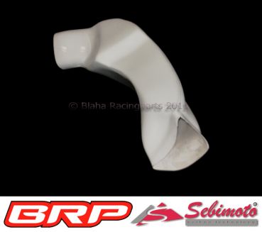 Honda CBR 600RR 2003-2004 Racing WM HRC Ten Kate PC37 Sebimoto Luftrohr links racing Air tube left side racing