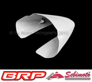 Honda CBR 600RR 2003-2004 Racing WM HRC Ten Kate PC37 Sebimoto Höcker Hinterteil für Racing Auspuff Tailsection rear tail for racing exhaust