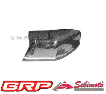 Honda CBR 600RR 2003-2004 Racing WM HRC Ten Kate PC37 Sebimoto Auspuffhitzeschutz Ten KATE Exhaust heat protection Ten Kate