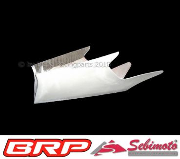 Honda RS 125  2004 - 2010 Production Racer Sebimoto Unterteil - Lower part