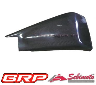 Honda CBR 600RR 2005-2018 Racing PC37 PC40  Sebimoto Schwingenschutz rechts  swingarm protection right side