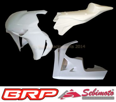 Honda CBR 1000RR 08-11 SC59 Sebimoto Rennverkleidung 2 teilig Unterteil Serie + Höcker geschlossen Ten Kate Fairing 2 parts lower part serie + tailsection closed Ten Kate