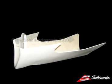 Honda RS 250 2008-2010 Production Racer Hiroshi Aoyama Sebimoto Unterteil Lower part