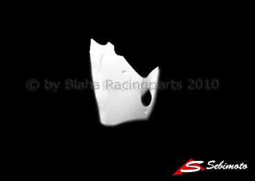 Kawasaki ZX 6R 2000-2002 Sebimoto Rennverkleidung 2 teilig. +  Höcker offen für Originalsitz Fairing 2 parts + tailsection open for original seat