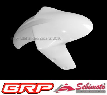 Kawasaki ZX 10R 2004 - 2005 Sebimoto Kotflügel vorne Vorderradabddeckung Frontfender