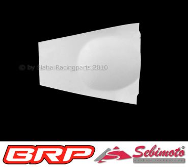 Kawasaki ZX 10R 2004 - 2005 Sebimoto Höckerschutzblech ohne Batteriehalter undertail without holder for battery