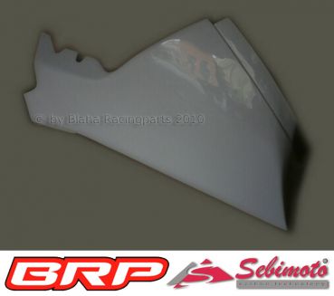Kawasaki ZX 10R 2008 - 2010 Sebimoto Rennverkleidung 2 teilig. +  Höcker geschlossen für Moosgummi Fairing 2 parts + tailsection close for foam rubber