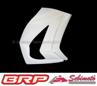 Kawasaki ZX 10R 2011-2015 Sebimoto Seitenteil rechts  side part right
