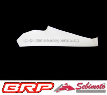 Kawasaki ZX 10R 2011-2015 Sebimoto Unterteil geschlossen  lower part