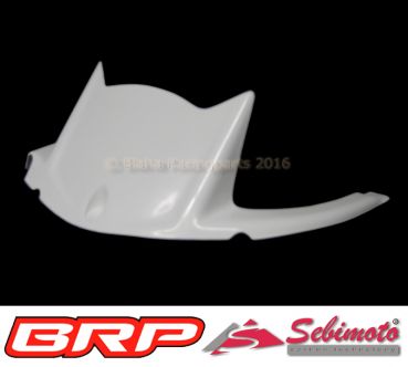 Kawasaki ZX 10R 2011-2020 Sebimoto Kotflügel hinten Hinterradabddeckung  rear fender